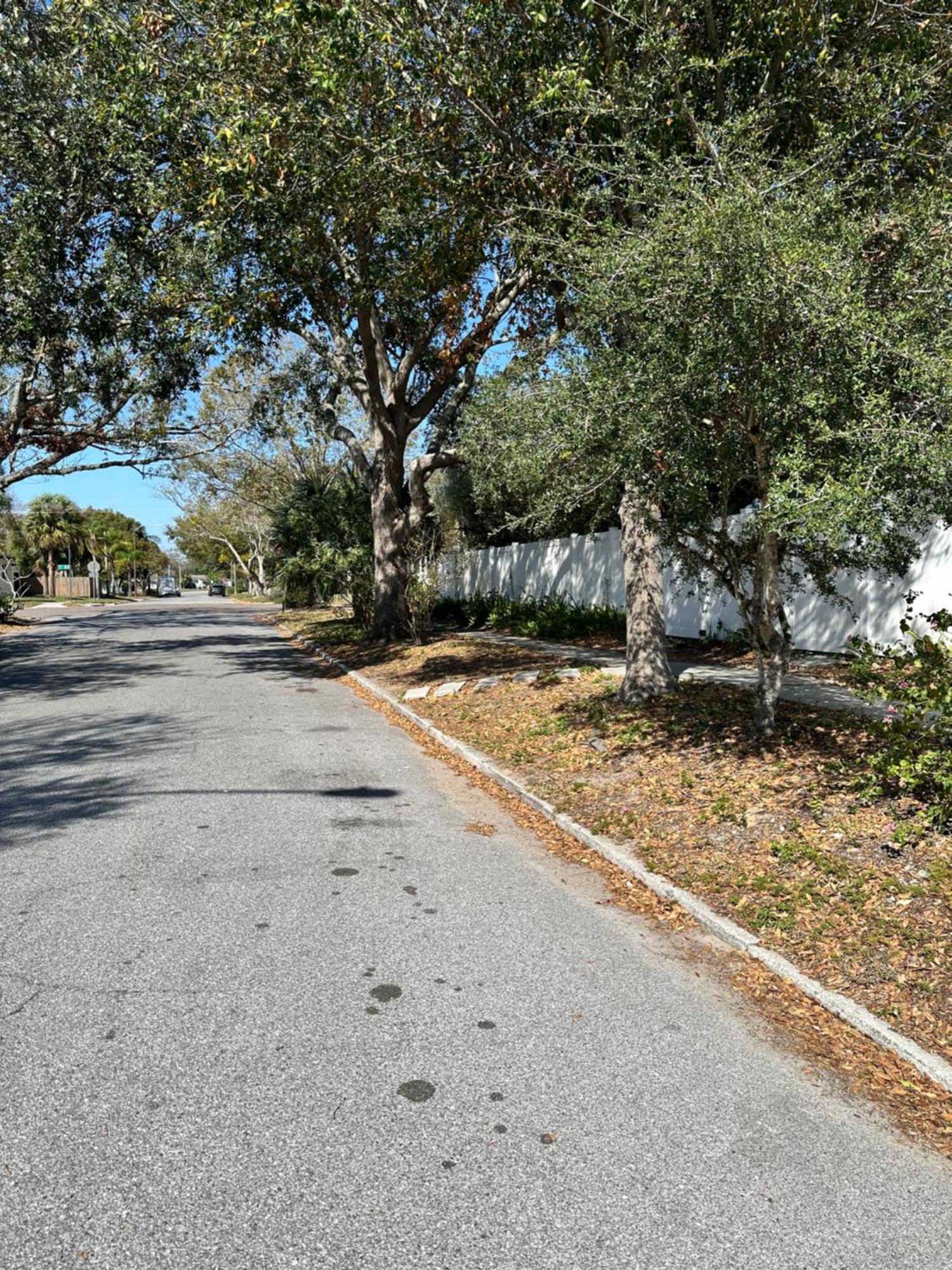 Palm Paradise Retreat St. Petersburg Exterior photo